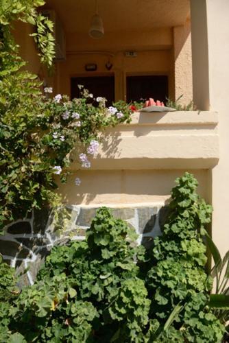 Ilias Apartment *